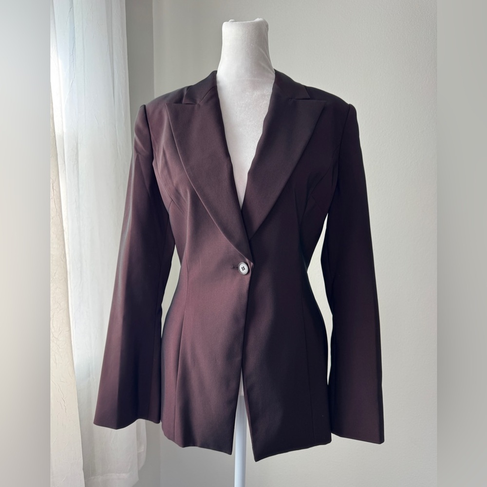 Vintage Y2K Express Dark Burgundy Iridescent Single Breasted Blazer